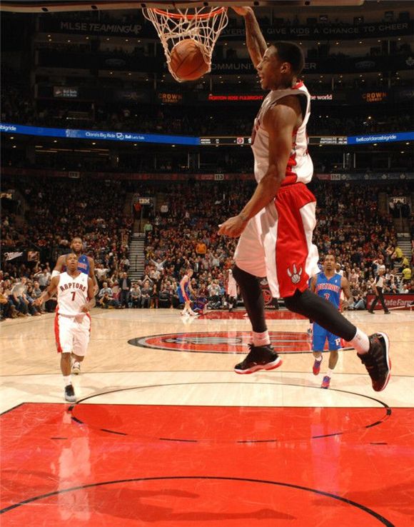 共同构成了 共同构成了